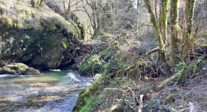 Randonnée à la Cascade du Pas de Cère - Vic-sur-Cère - 31
