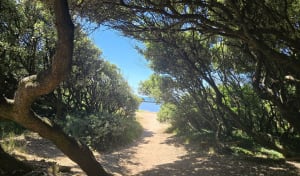 Du puits d’enfer au Lac de Tanchet - Les Sables-d'Olonne - 11