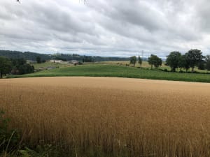 Saint-Simon et ses splendides vues sur les Monts du Cantal - CHRISTOPHE - 7