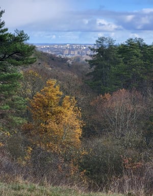 Corcelles-les-Monts et la promenade du Plateau - Corcelles-les-Monts - 4