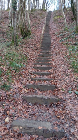 Sur le sentier des Douanes - Valleiry - 5