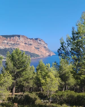 De baaien van Port Miou, Port-Pin en En-Vau - Cassis - 8