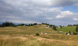 Balade au Mont Forchat - Lullin - 8