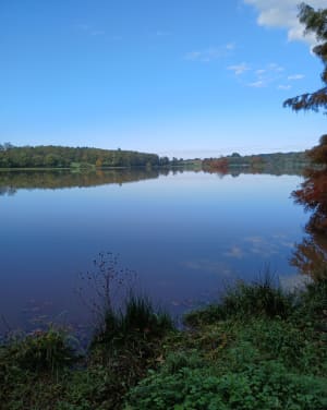 Tour du lac de Born - Salagnac - 5