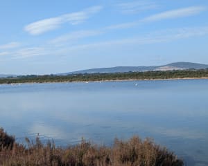 Kathedraal van Maguelone en wandeling langs de kust - Palavas-les-Flots - 22