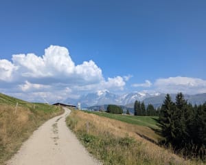 Col du Jaillet - descente vers le balle trap. - Megève - 4