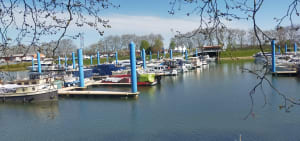 Balade Flacé Bois de Sennecé Mâcon - Mâcon - 5
