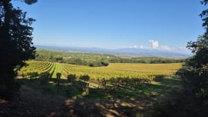 Rochegude, odeurs et couleurs de Provence - Rochegude - 7