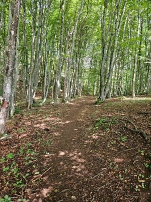 Tour du pic de l'Aspe et légendes du passé - Soula - 19