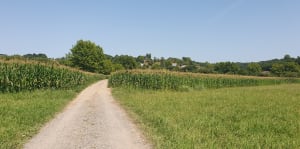 Milafranga et le long de la Nive - Villefranque - 4
