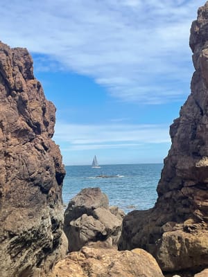 Virée sur la pointe de Plouha - Plouha - 31