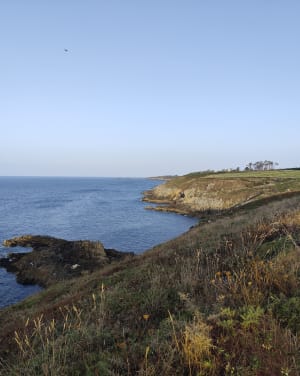 Balade vers la pointe Saint-Mathieu - Plougonvelin - 6