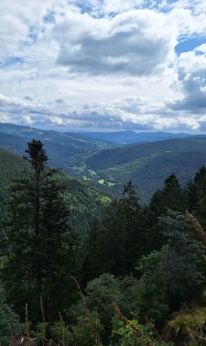 Sentier des Roches par la l'auberge des Trois Fours - Le Valtin - 15