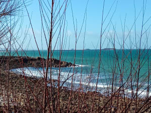 Les sentiers du Becquet - Cherbourg-en-Cotentin - 10