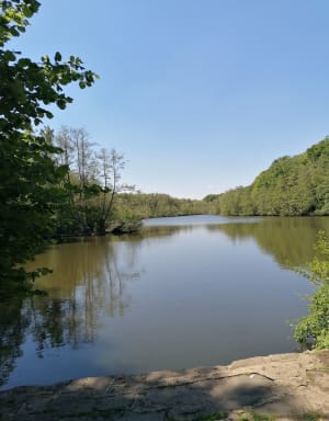 De Cernay à Senlisse par les bois et précieux patrimoine - Sylvain - 6