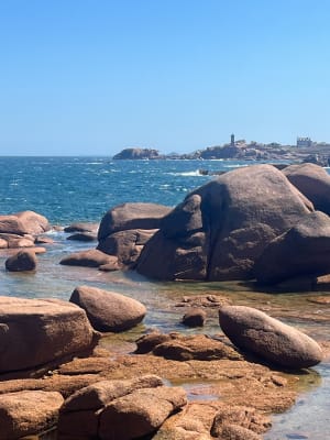 Trégastel et tour de l'île Renote - Trégastel - 136