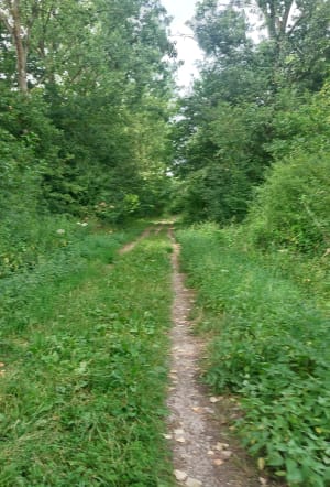 Sentier des Gorges Bleues et réserve de Mont-Bernanchon - Mont-Bernanchon - 3