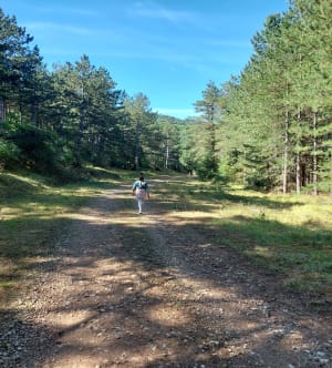 Mont Redon / Lac d'Avène - Wouter - 3