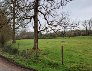 Boubers sur Canche - sentier de la fontaine - Boubers-sur-Canche - 11