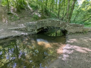 De vallons en châteaux à Saint-Jean-de-Touslas - Beauvallon - 5
