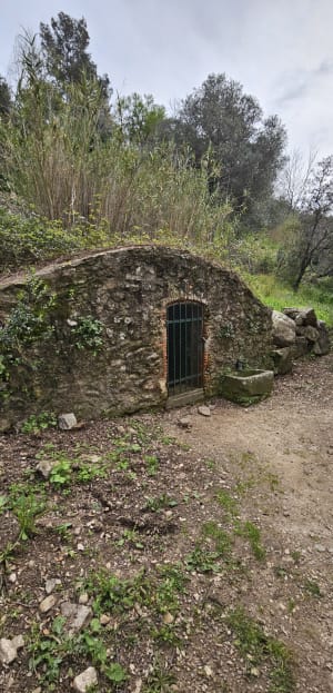 Grimaud : balade 5 étoiles autour du château - Grimaud - 9