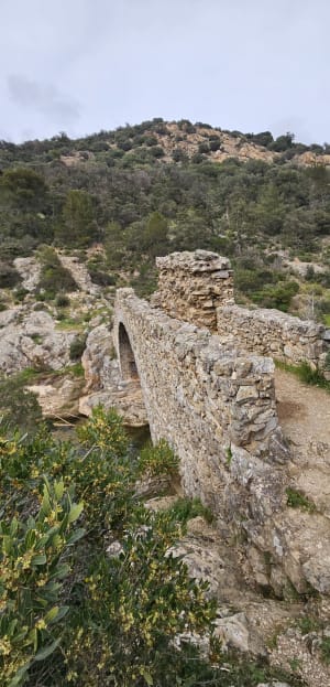 Grimaud : balade 5 étoiles autour du château - Grimaud - 10