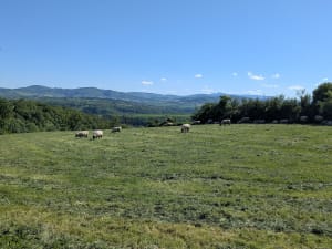 De vallons en châteaux à Saint-Jean-de-Touslas - Beauvallon - 7