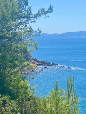 Magnifique balade sur la côte bleue à La Redonne- Ensuès - La Redonne - Ensuès - 10