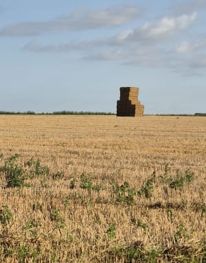 Le Mont Fouet depuis Dury - Dury - 9