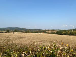 Balade à Toulon sur Arroux et ses alentours - Elisabeth - 7