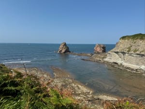Wandeling op het Domaine d'Abbadia - Hendaye - 49