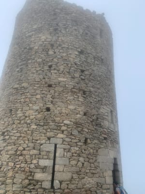 La Massane - Argelès sur Mer - 65