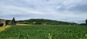 Balade le long de la Mauldre au départ de Maule - alexis - 4
