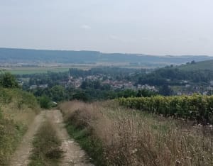 Vignes et côtes à Château-Thierry - Séb et Véro - 14
