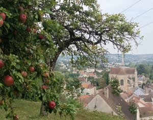 Vignes et côtes à Château-Thierry - Séb et Véro - 16