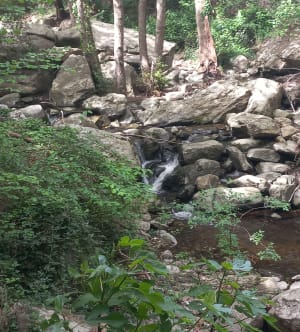 La cascade de Laroque par le Chemin des Disputes - Laroque-des-Albèrès - 31