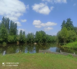 Tour du lac de Ribou - La Tessoualle - 12