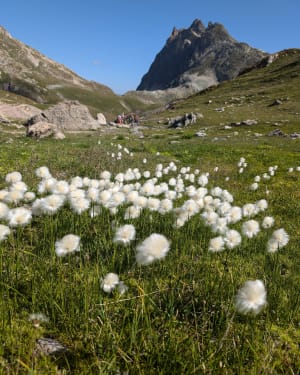 Bergwandeling in Valloire en tocht langs de 3 hooggelegen meren - Valloire - 28