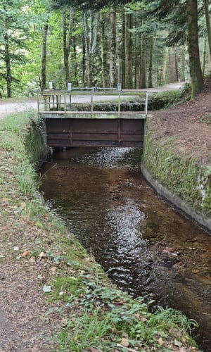 Lac des Cammazes et La Rigole - Les Cammazes - 8