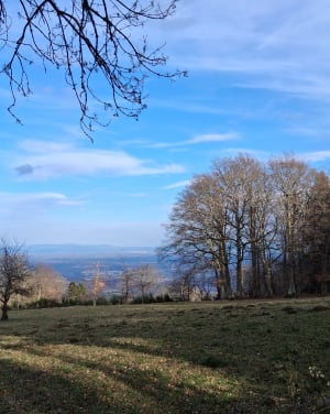 Autour de Chanat-la-Mouteyre - Chanat-la-Mouteyre - 10