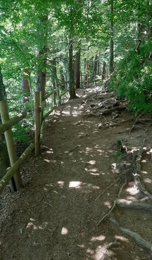 Ronde van het meer van Pavin in Besse-et-Saint-Anastaise - Le Gelat, Besse-et-Saint-Anastaise - 29