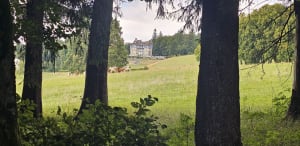 Virée en forêt et charmes de l'alpage de l'Iselet - Cruseilles - 3