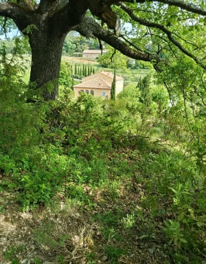 Balade dans les gorges de Châteaudouble et le Malmont - Draguignan - 4