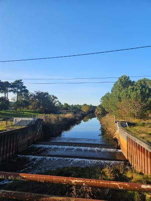 Les Landes de Simon - Lège-Cap-Ferret - 8