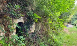 Balade dans notre campagne entre Dangé-Saint-Romain et Vaux - Dangé-Saint-Romain - 9