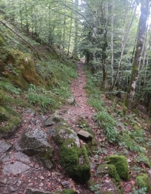 Randonnée du Lac de Kruth et les Cascade du Bockloch - Kruth - 9