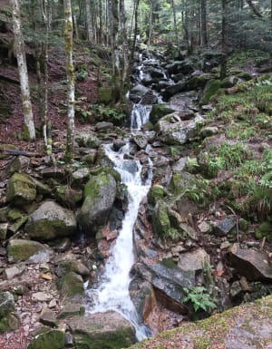 Randonnée du Lac de Kruth et les Cascade du Bockloch - Kruth - 10