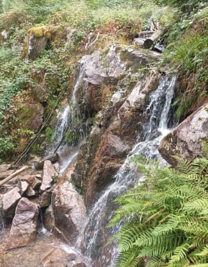 Randonnée du Lac de Kruth et les Cascade du Bockloch - Kruth - 12