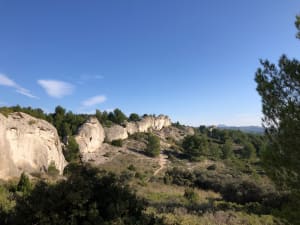 Le tour du grand Mejan - Fontvieille - 22