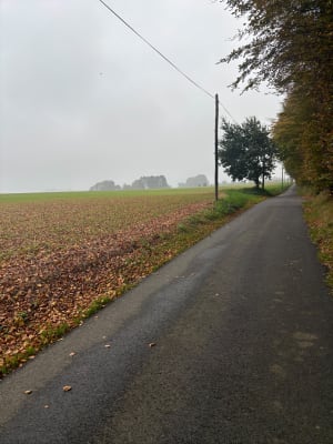 Les alentours de Manneville la Goupil - Manneville-la-Goupil - 5